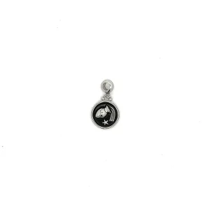 BERLOQUE SIGNO AQUARIO INOX