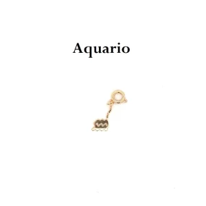PINGENTE SIGNOS ZODIACO FOLHEADO